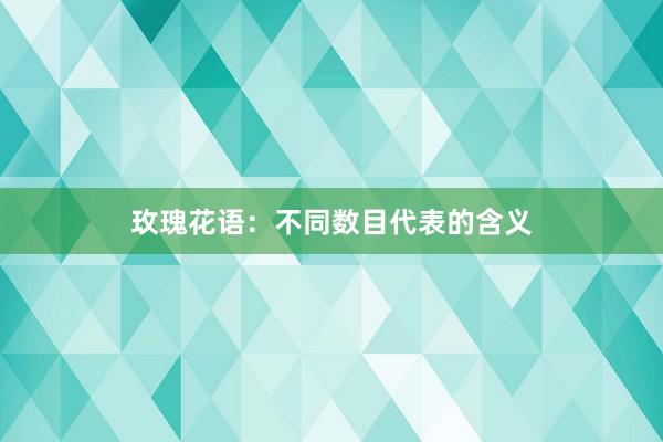 玫瑰花语：不同数目代表的含义