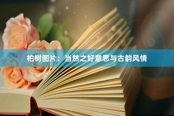 柏树图片：当然之好意思与古韵风情