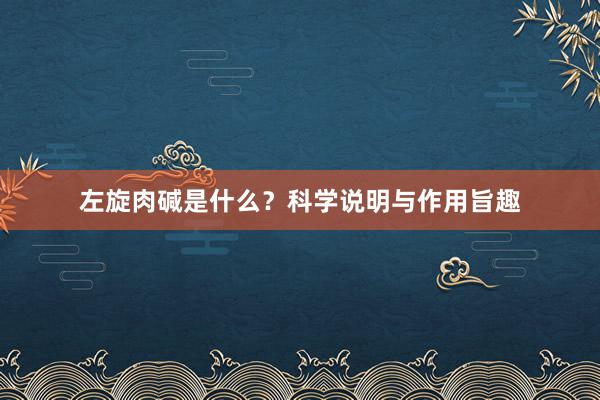 左旋肉碱是什么？科学说明与作用旨趣